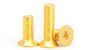 Tornillos de máquina avellanados DIN965 planos de cobre amarillo de la impulsión Phillips de la cabeza de los tornillos de la cabeza de ISO4762 Phillips proveedor