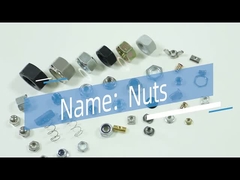 Nueces principales avellanadas de China de la nuez de los muebles de la aleación del cinc